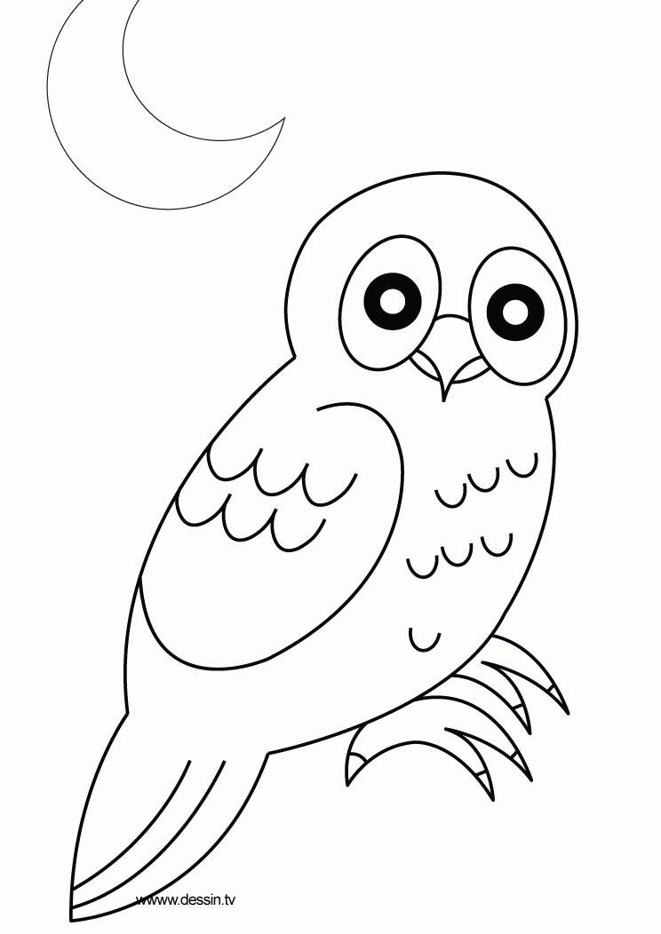 Owl Coloring Pages | Coloring page | Free Printable Coloring