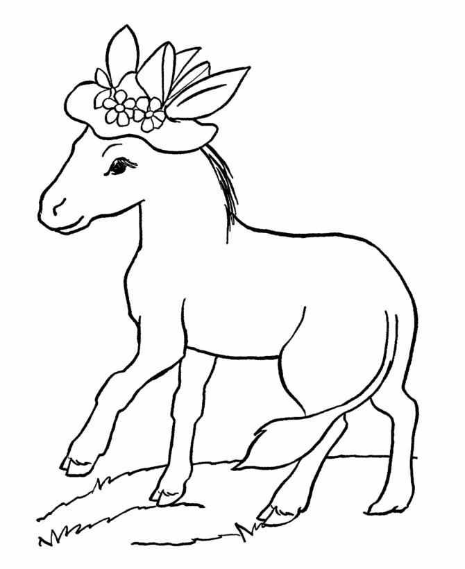 Related Pictures Animals Coloring Pages Pets And Animals On