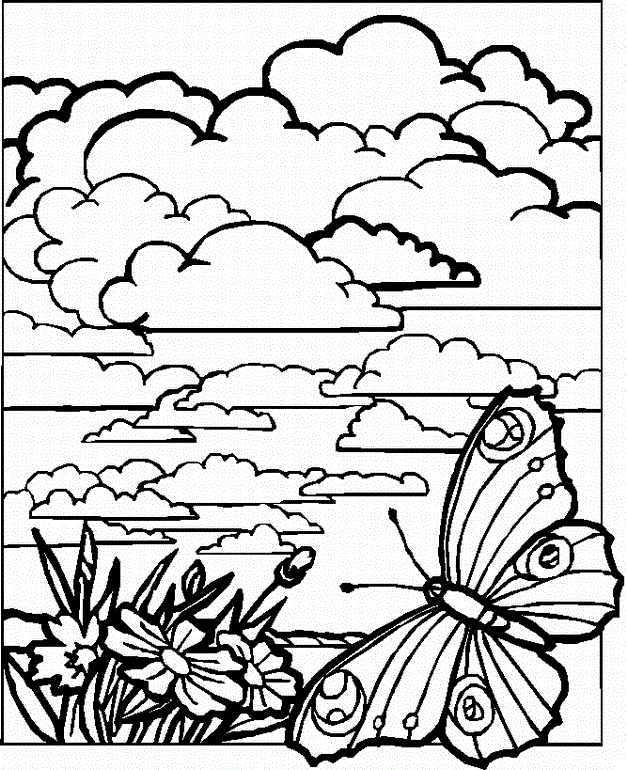 Butterfly | Coloring 