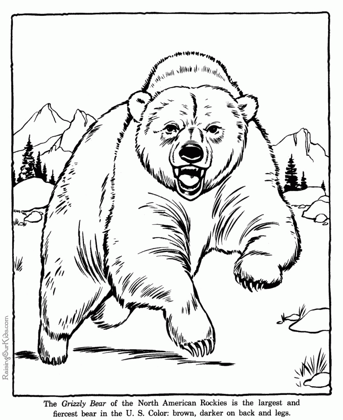 little-bear-coloring-pages-clip-art-library