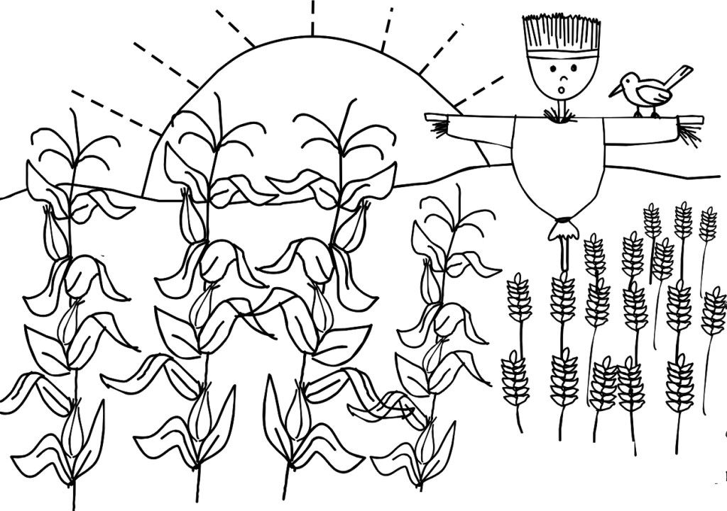 Farm Crops Coloring Page Clip Art Library