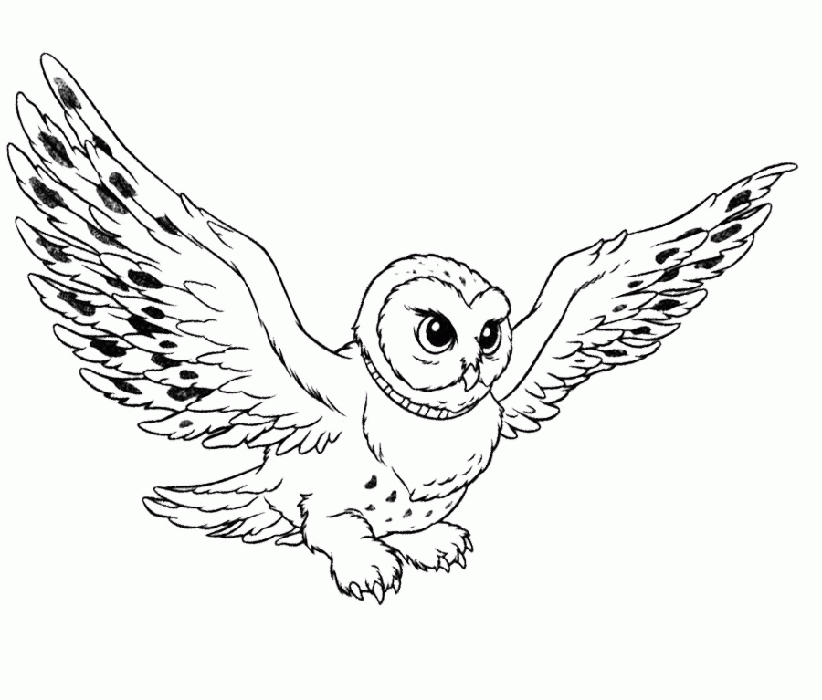 Owl-Flying-Coloring-Pages