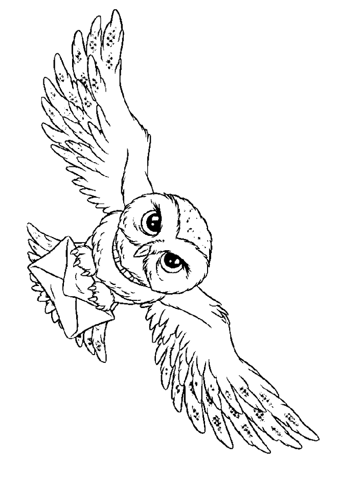 Harry Potters Owl Hedwig - Owl Coloring Pages : Coloring Pages