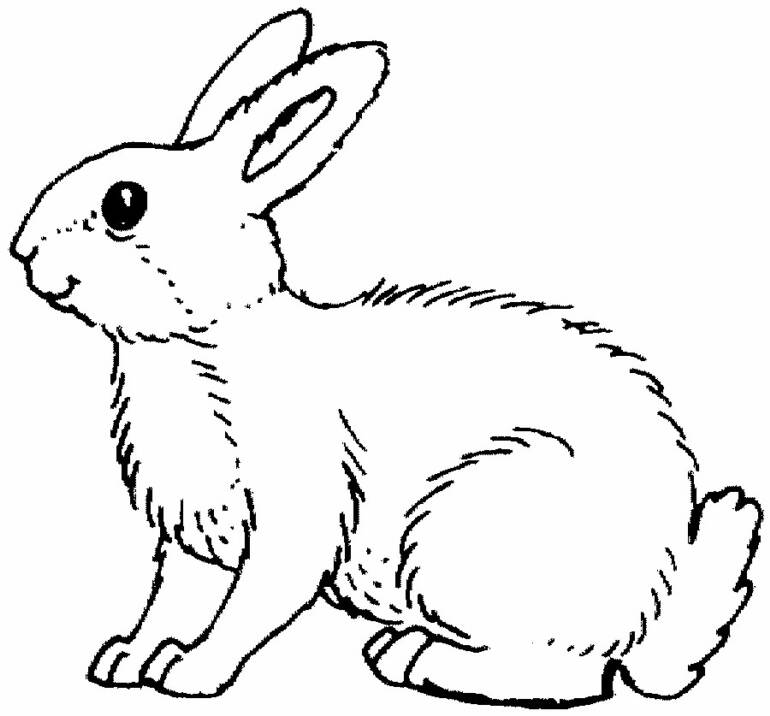Free Rabbit Pictures To Print Download Free Rabbit Pictures To Print Png Images Free Cliparts On Clipart Library