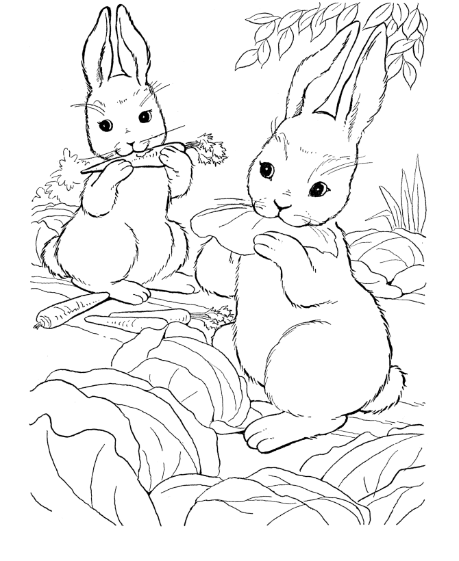 Farm Animal Coloring Pages | Wild Bunny Rabbit Coloring Page