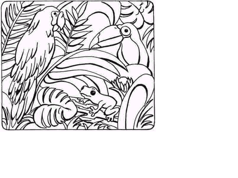 Free Jungle Scene Coloring Pages, Download Free Jungle Scene Coloring