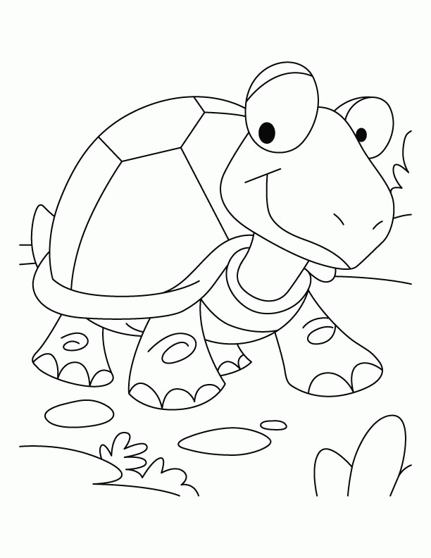 Tortoise won the race coloring pages | Download Free Tortoise won