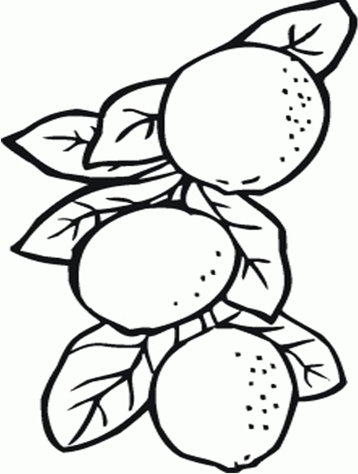 Funny Orange Tree Coloring Pages High Res |Clipart Library