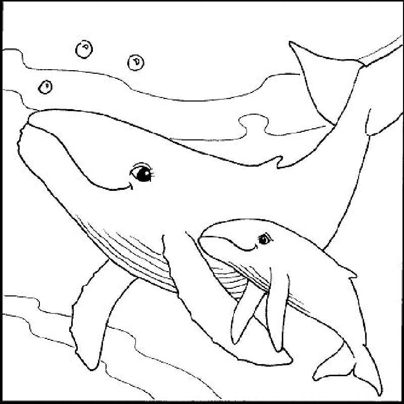 Fish and Sea animals | Free Printable Coloring Pages