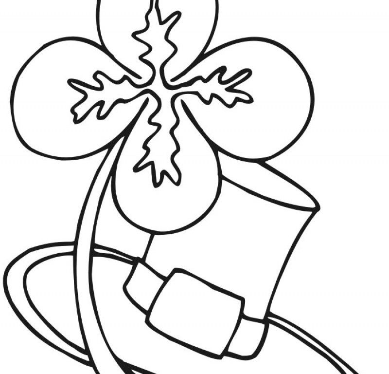 Four Leaf Clover And Leaves Coloring Pages 