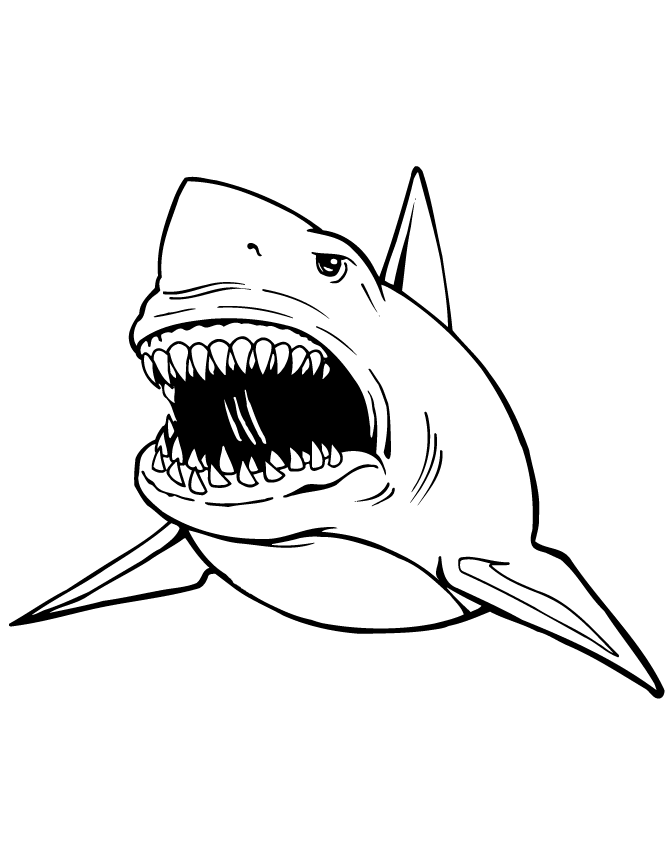 Great White Shark Coloring Page | HM Coloring Pages