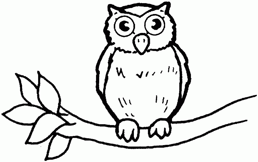 owl outline drawing | Coloring Picture HD For Kids 