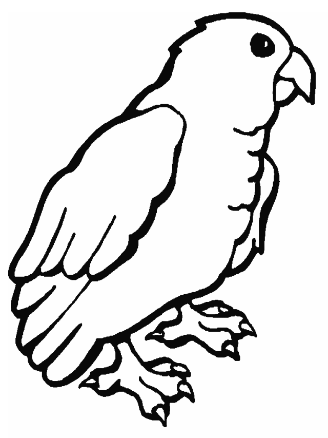 Easy parrot animal coloring page