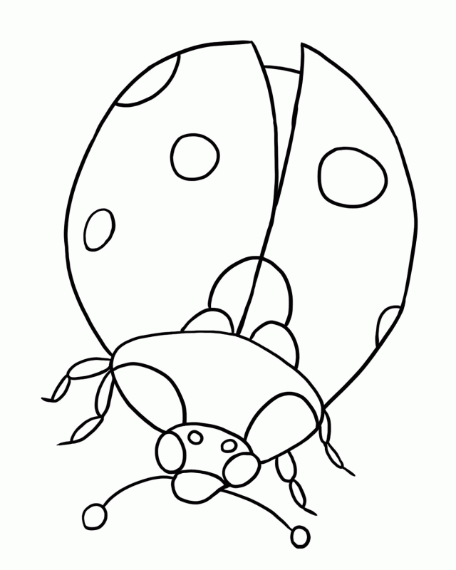 free-free-ladybug-coloring-pages-download-free-free-ladybug-coloring