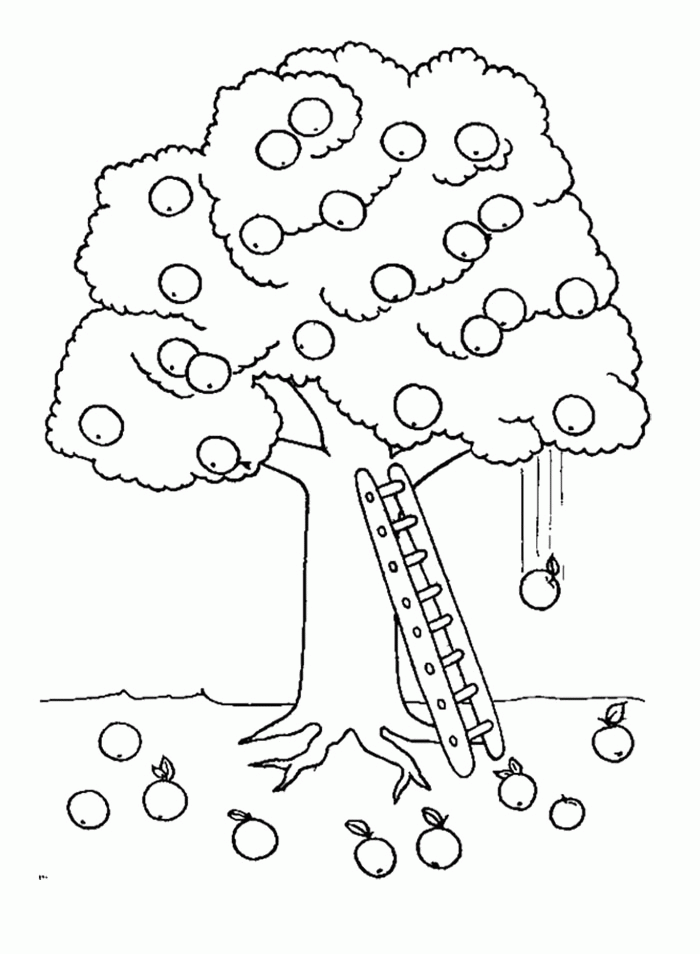 Tree Coloring Pages : Apple Tree And Ladder Coloring Page Kids