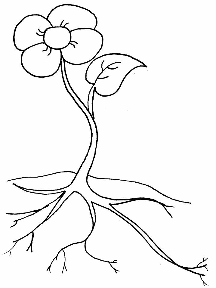 Interesting and Funny Coloring Page 