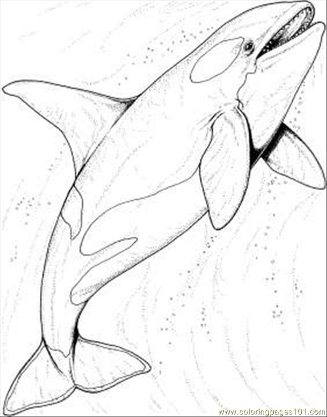 Coloring Pages The Ocean Coloring Page (Natural World  Seas
