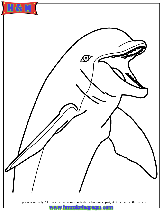 Cute Cartoon Dolphin Coloring Page | Free Printable Coloring Pages