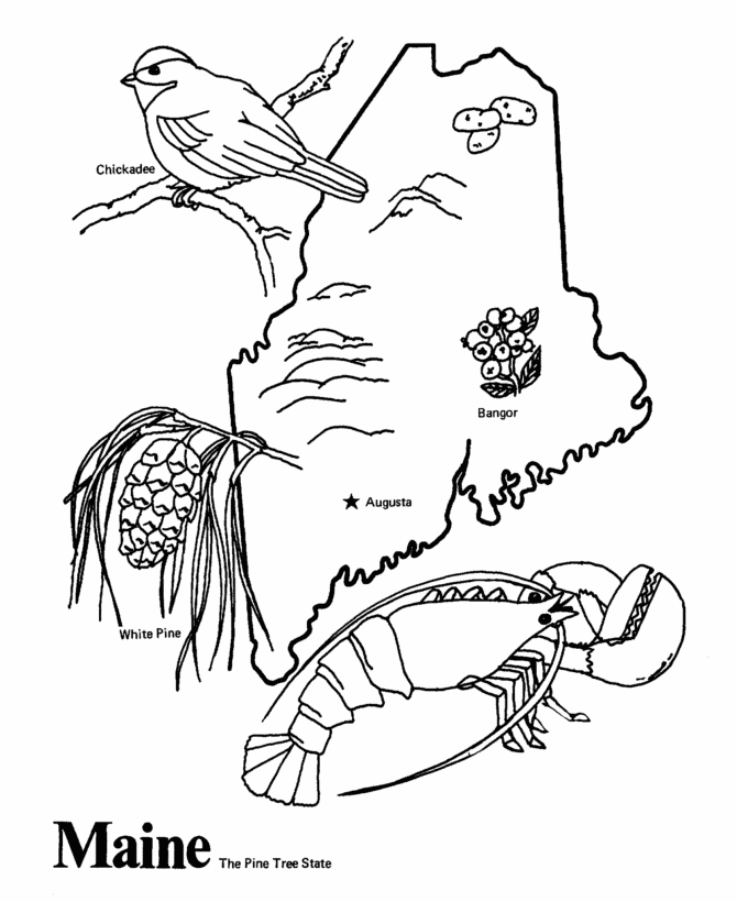 Free Map Of The United States Coloring Page, Download Free Clip Art