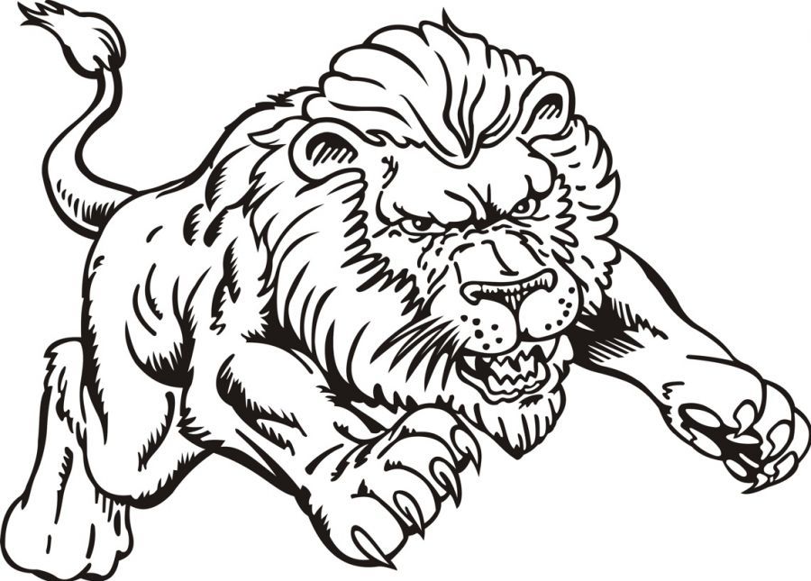 scary lion coloring pages Clip Art Library