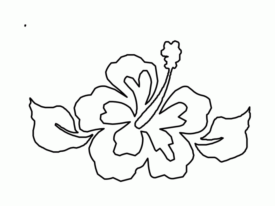 Hibiscus Flower Drawings Tattoo Design  Drawing