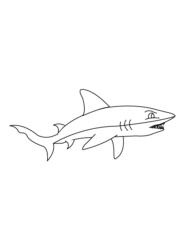 Free Printable Shark 