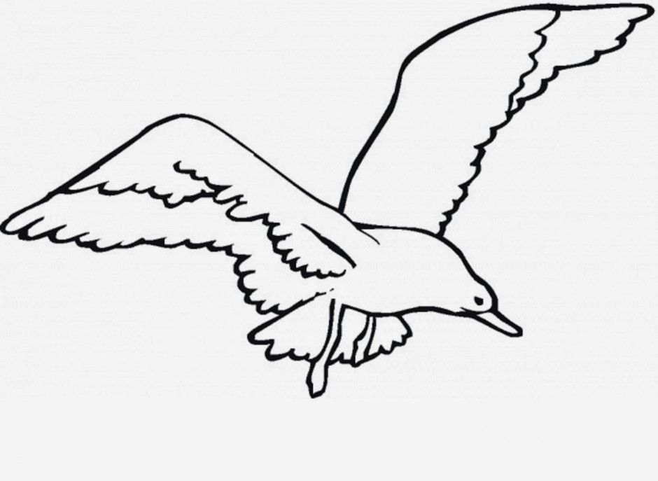 Printable Coloring Page Utah State Bird And Flower Seagull Id