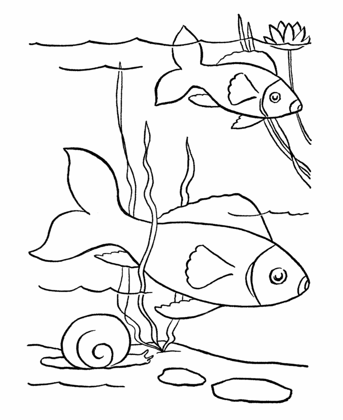 Pet Fish Coloring Pages | Free Printable Pet Fish Coloring Pages