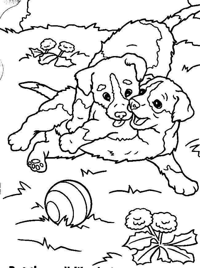 Rainbow Coloring Page | Coloring Pages For Child | Kids Coloring