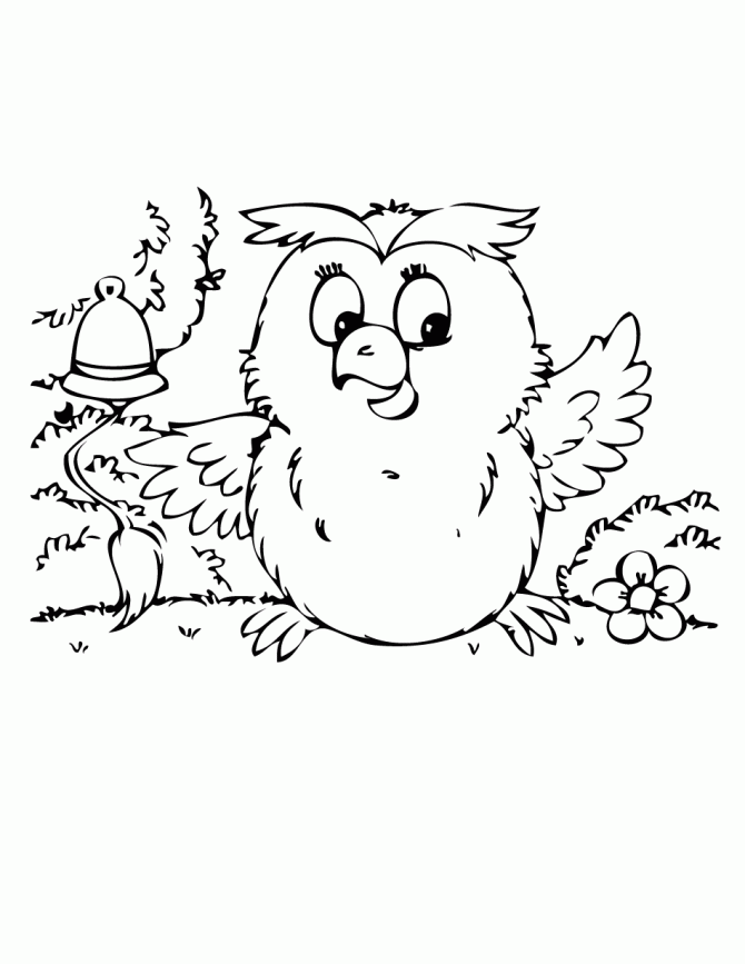 Free Nocturnal Animals Coloring Pages, Download Free Nocturnal Animals  Coloring Pages png images, Free ClipArts on Clipart Library