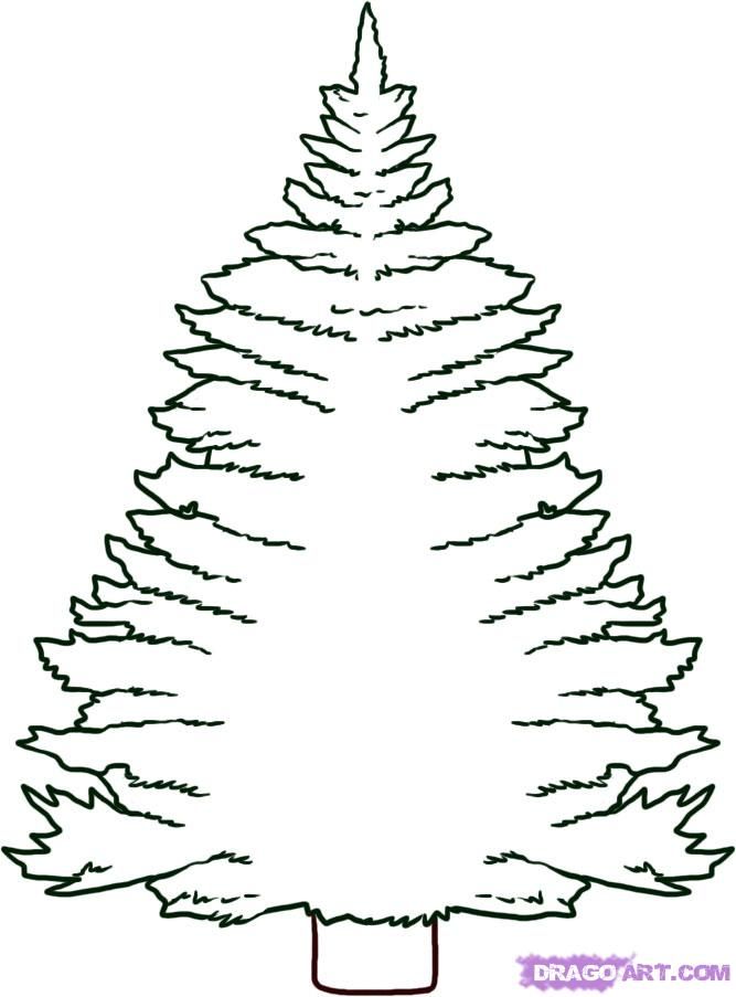 How to Draw a Pine Tree, Step by Step, Trees, Pop Culture, FREE