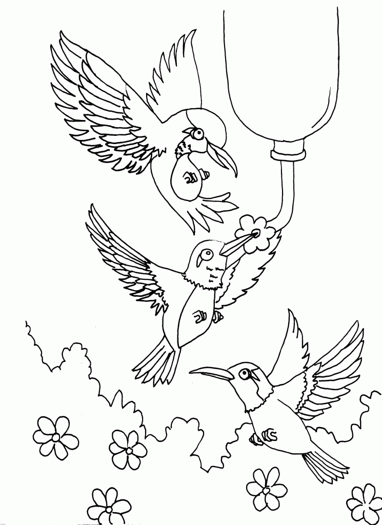 Printable Hummingbird| Coloring Pages for Kids 