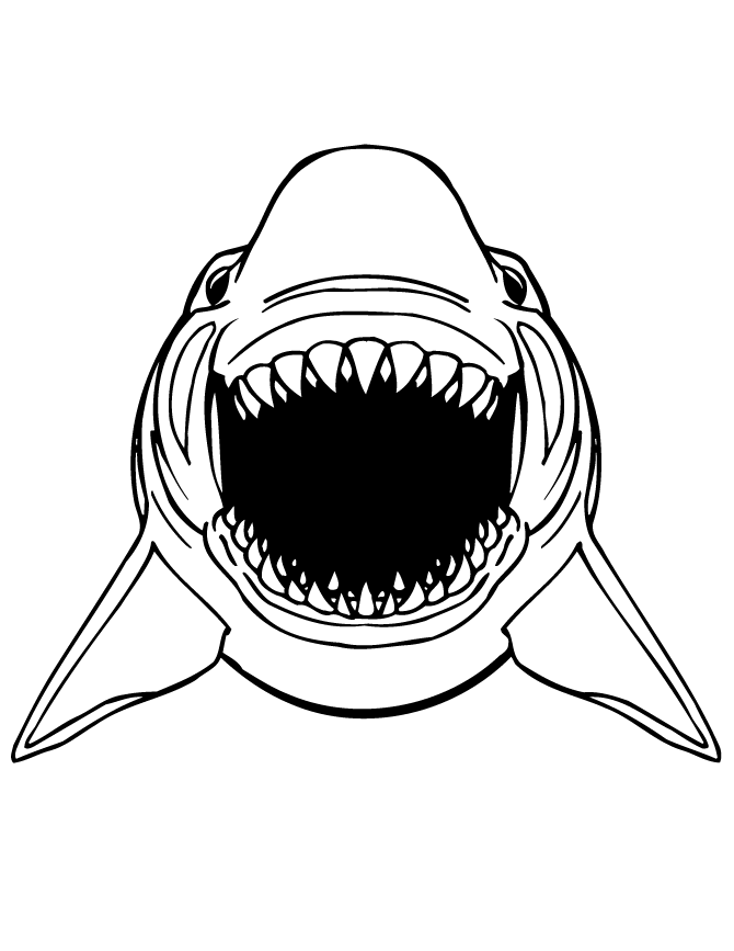 Great White Shark Scary Teeth Coloring Page | Free Printable