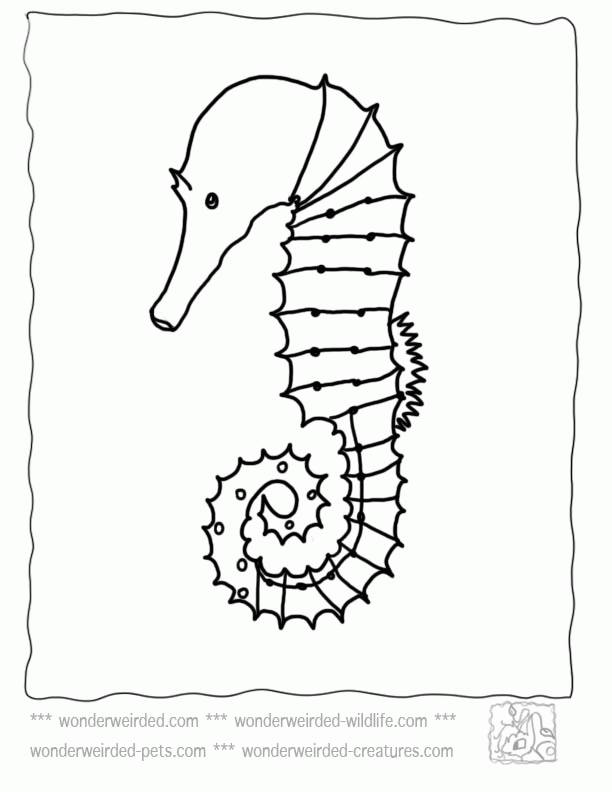 Seahorse Silhouette, Silhouettes Templates for Ocean Themed