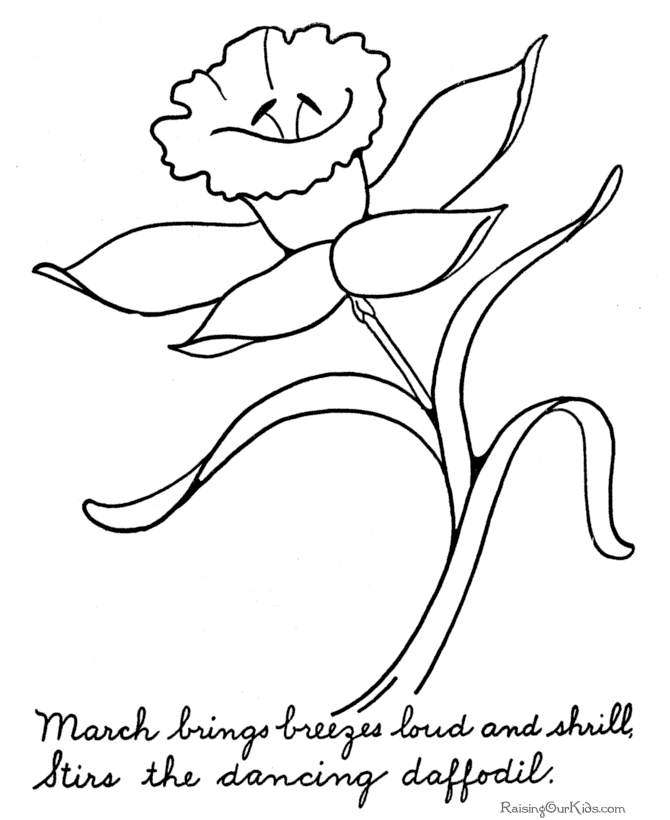 Free flower coloring pages of a daffodil