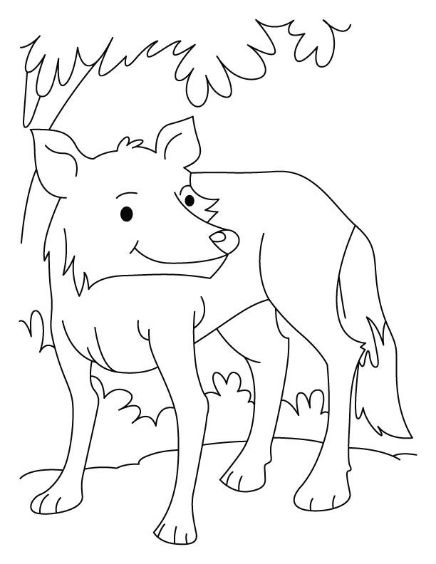 A fully grown wolf coloring pages | Download Free A fully grown