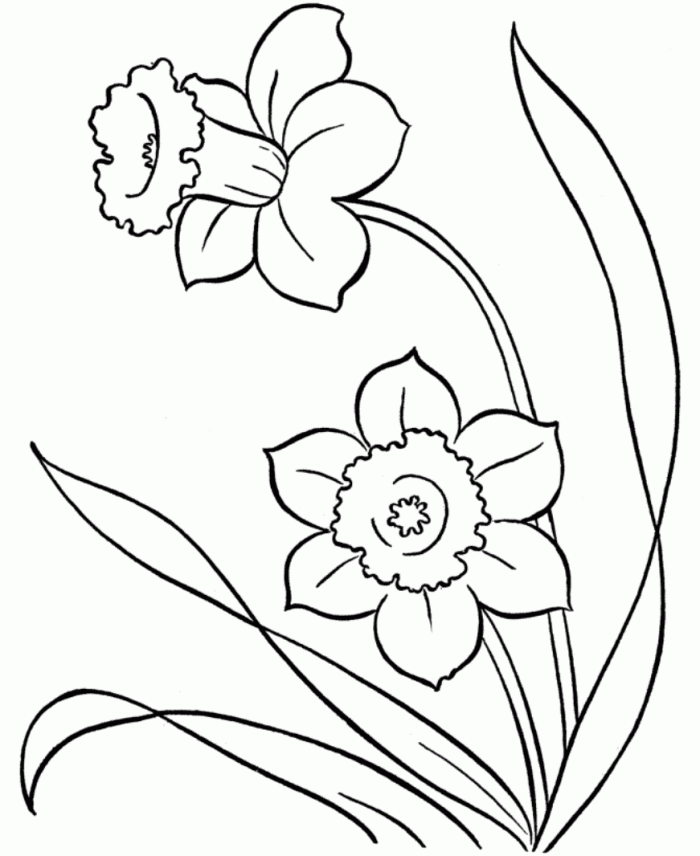 Spring Flowers Coloring Book Pages - Flower Coloring Pages of