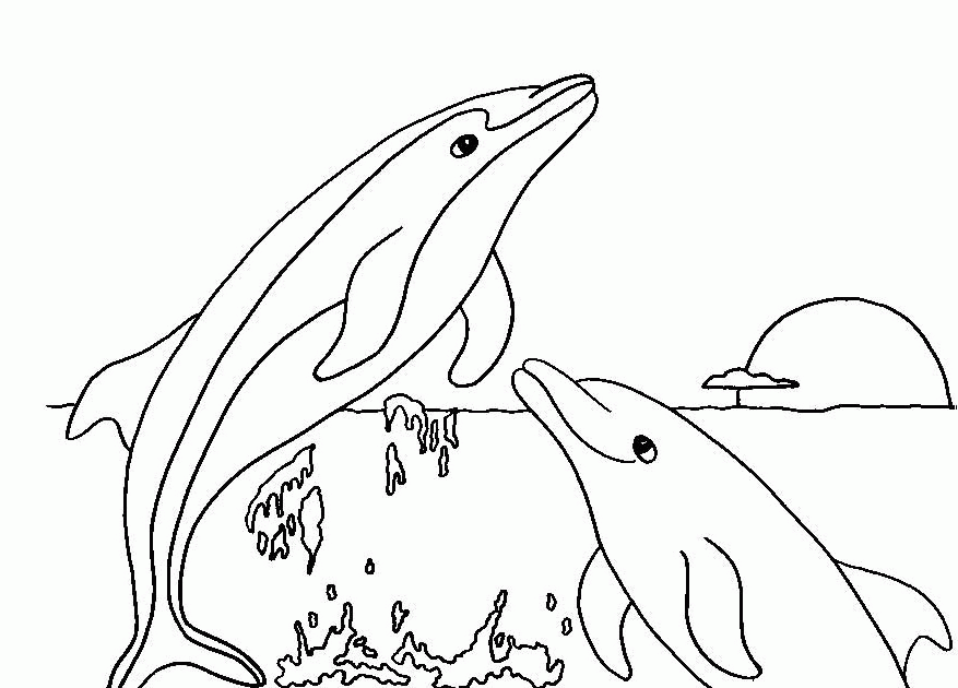 Free Printable Dolphin 