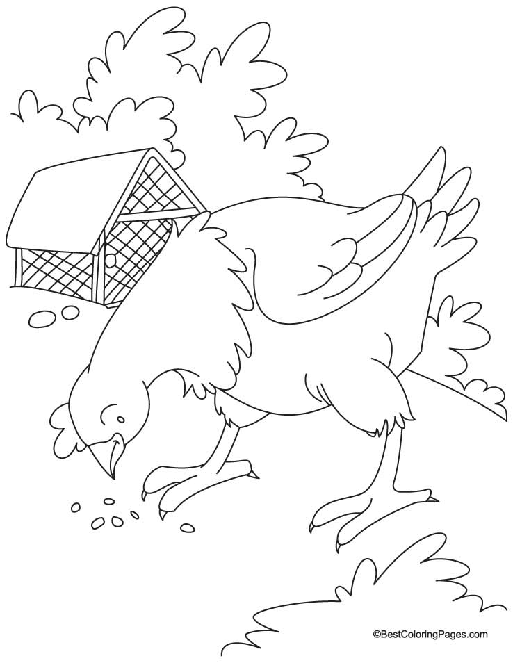 red hen Colouring Pages