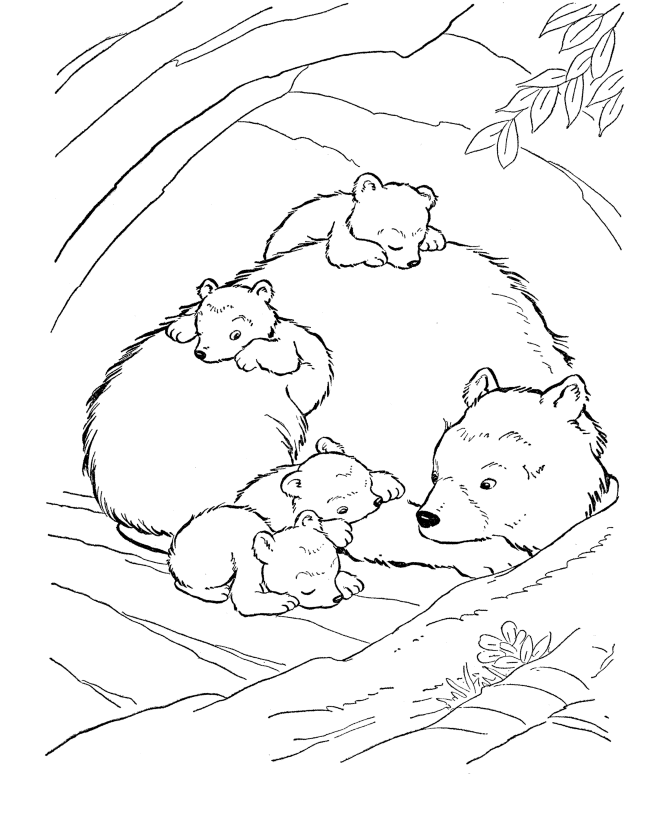 Wild Animal Coloring Pages | Inside the Bear Den Coloring Page
