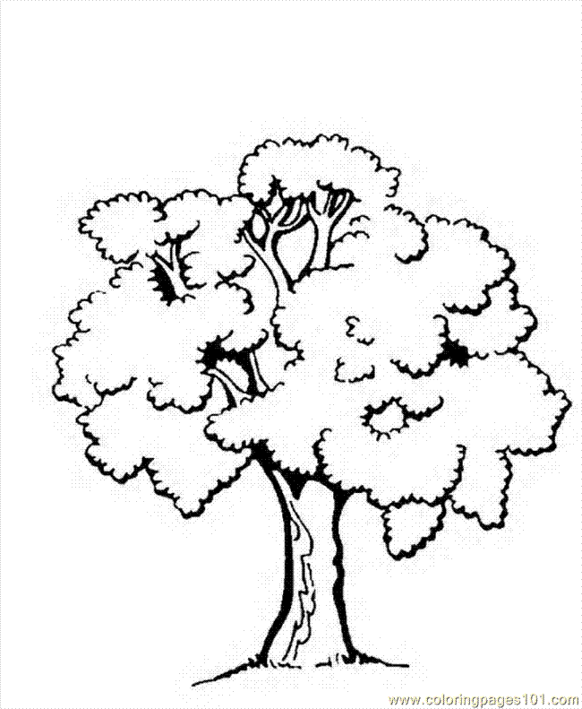 a tree to colour Colouring Pages