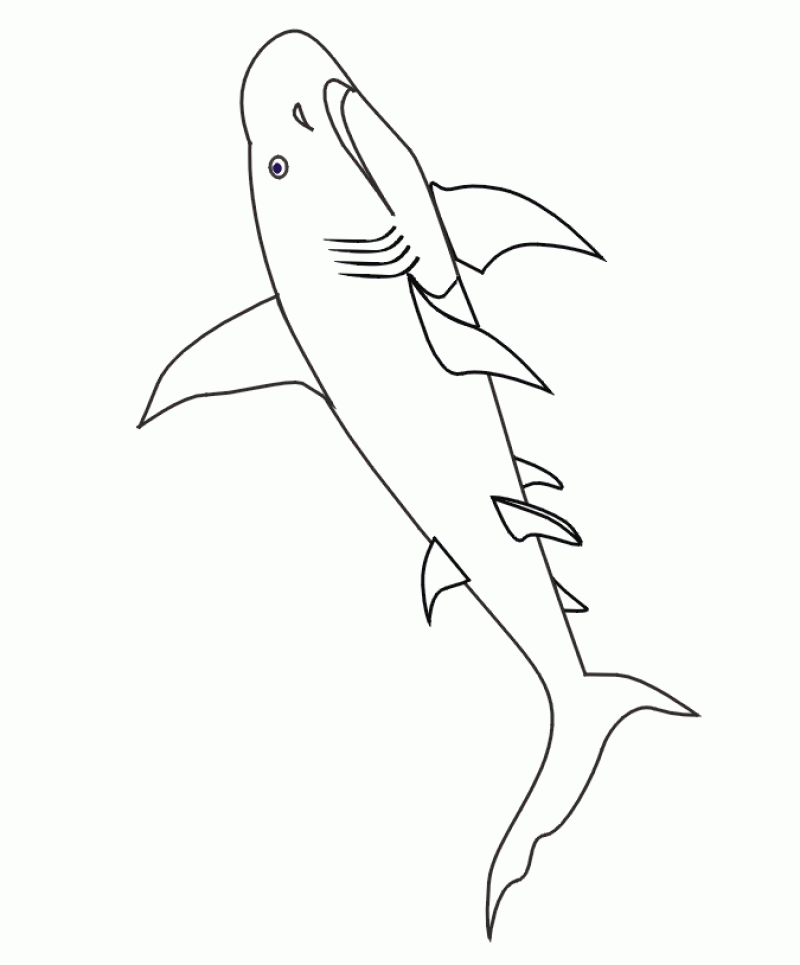 Shark Printable Coloring Pages - HD Printable Coloring Pages