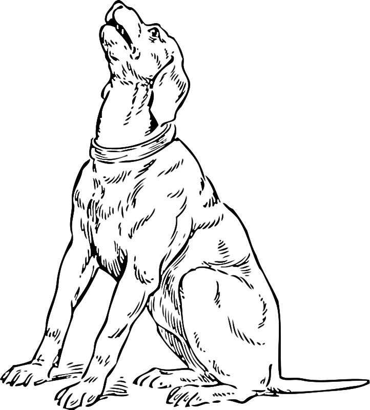 Barking Dog Coloring Page | Dog Coloring Pages Org
