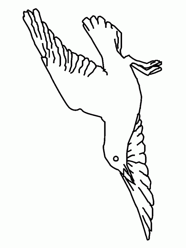 Coloring Picture Of Gaviota Child Coloring Seagull Coloring