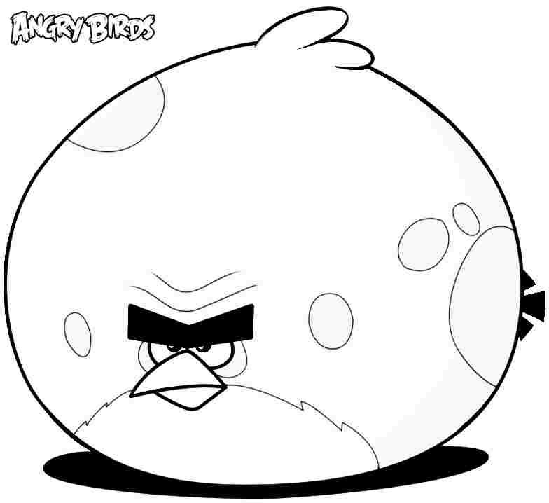 Printable Cartoon Angry Birds Coloring Sheets For Kids  Girls