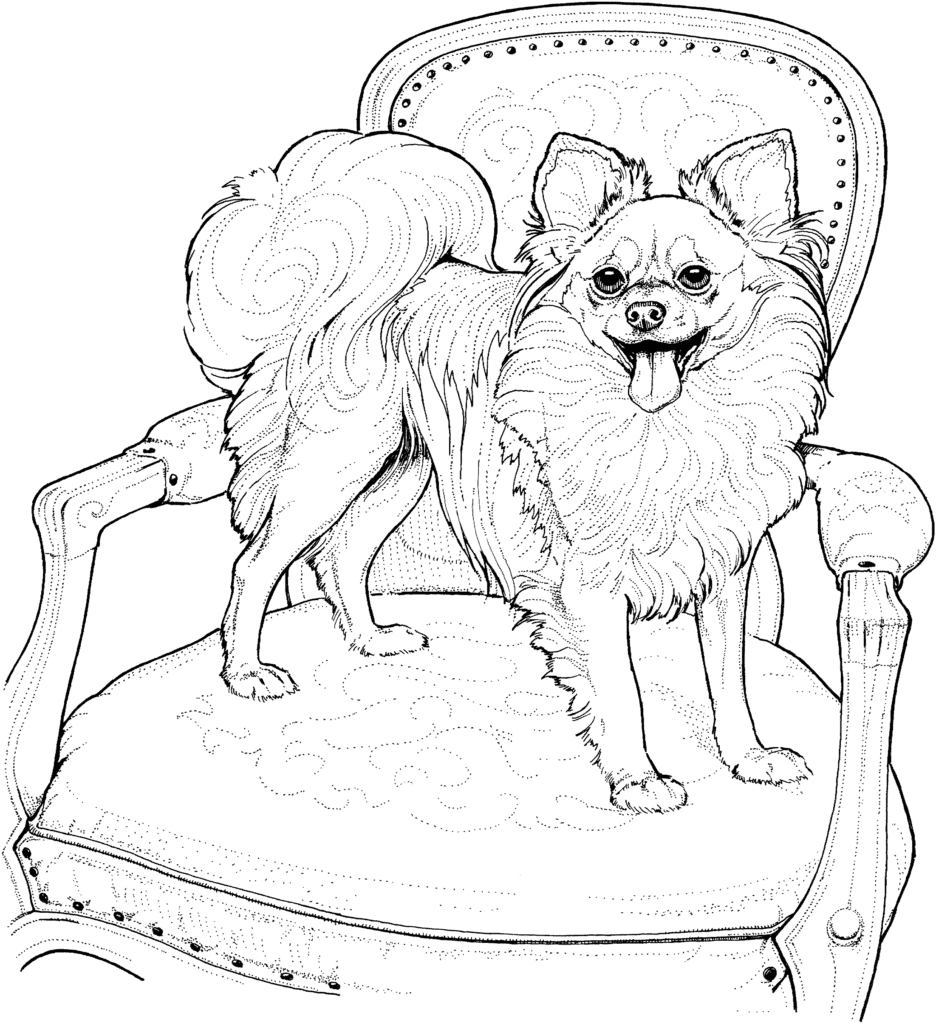 printable-chihuahua-coloring-pages-clip-art-library
