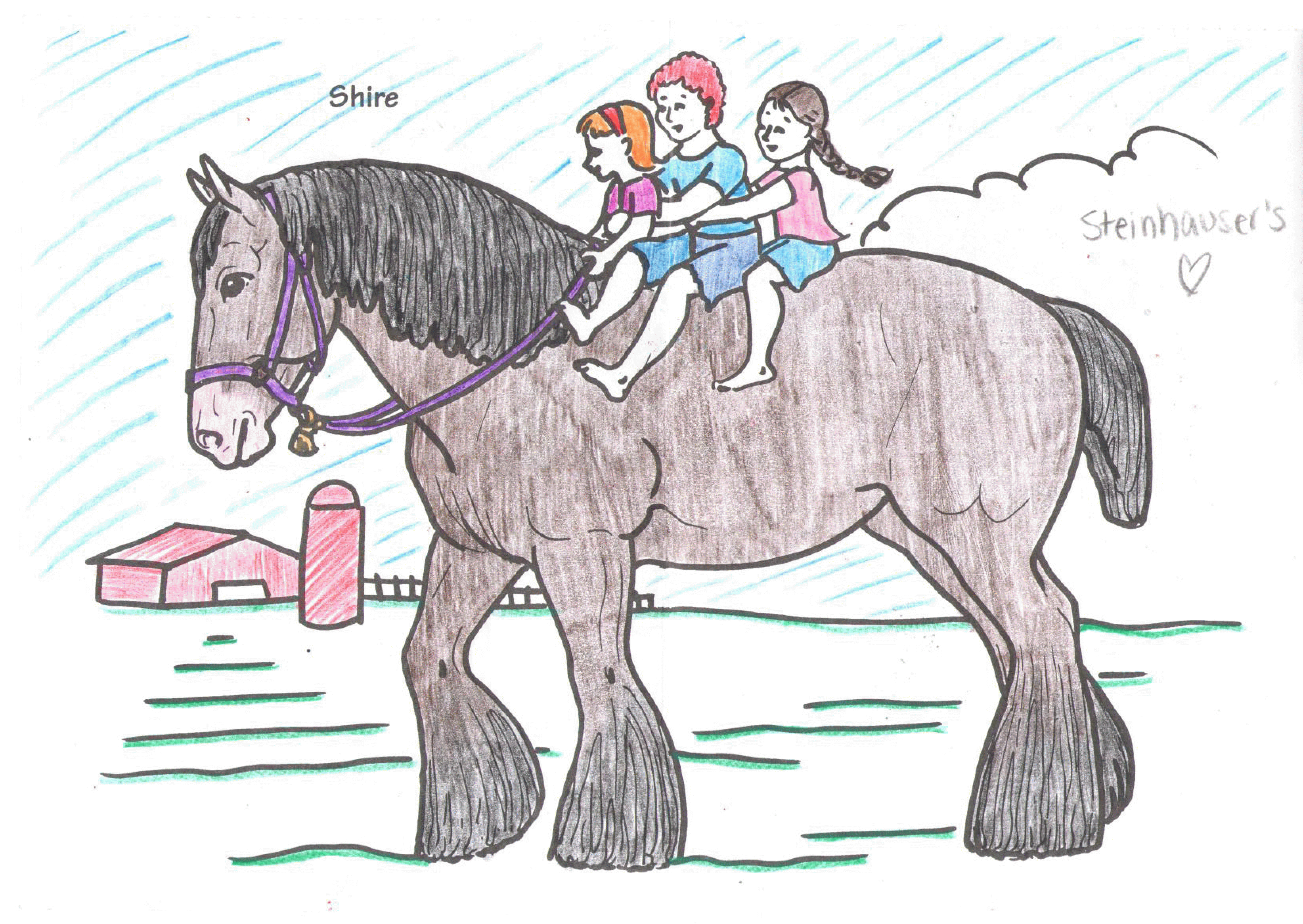 Breyer Pumpernickle the Pony Coloring Book 