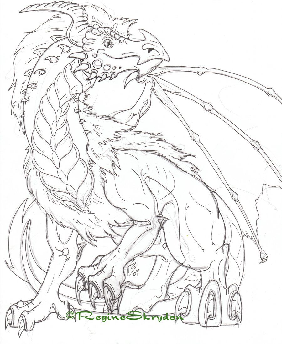 Fancy Dragon Coloring Pages Printable Clip Art Library