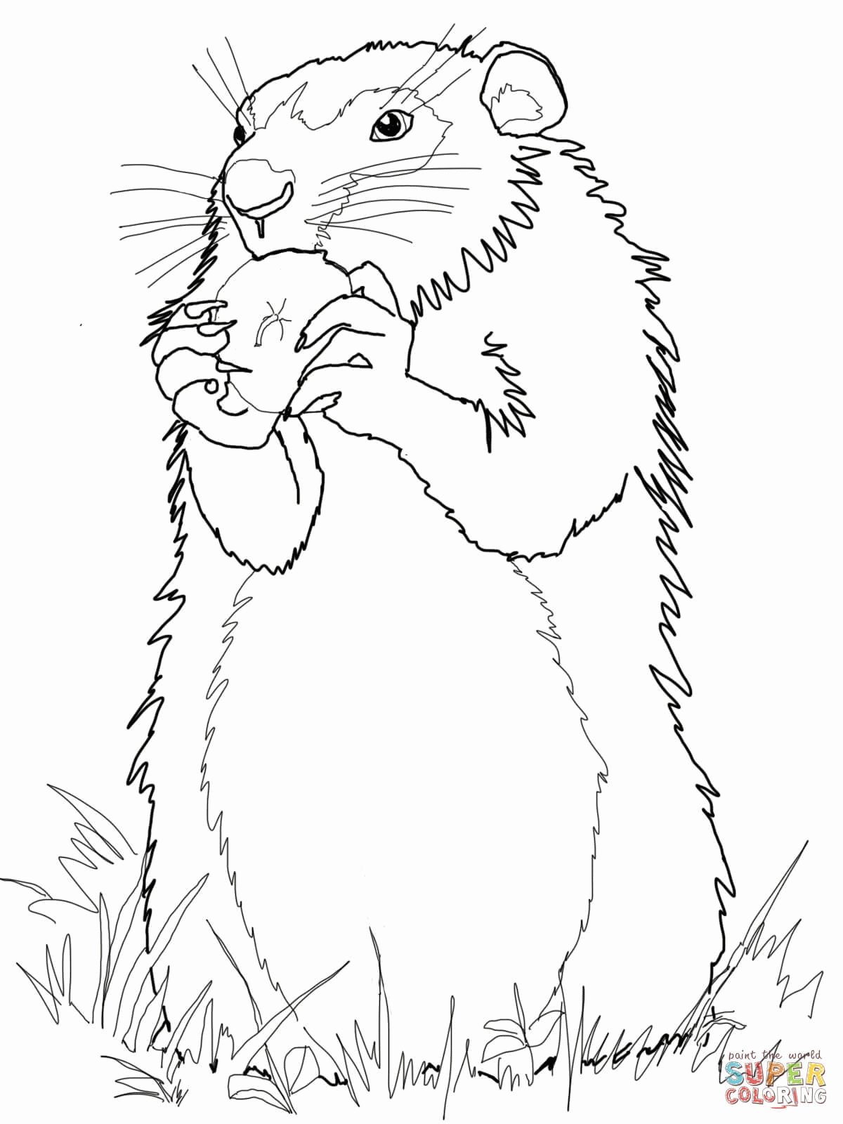 free-groundhog-day-coloring-pages-free-printable-download-free
