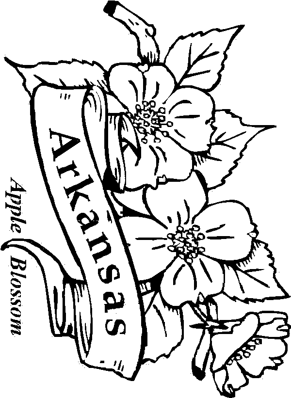 Coloring Pages Arkansas | Coloring Pages For All Ages